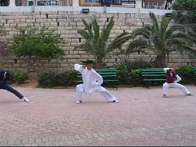 Tai Chi Day in Malta